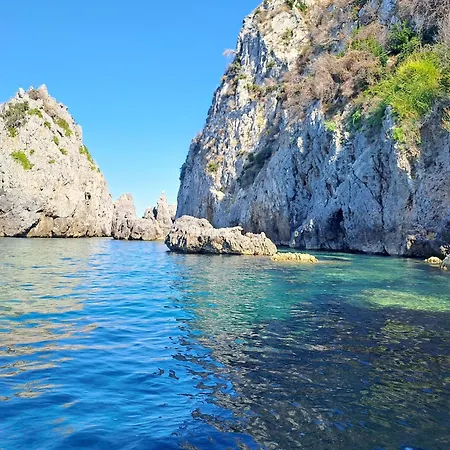 Aegean Daire *